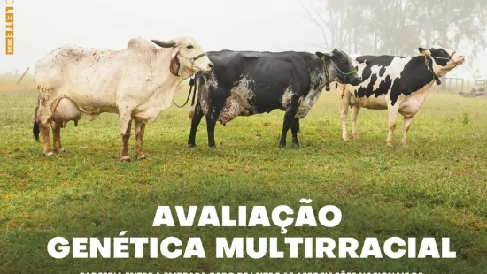 Anuário Leite 2024, da Embrapa Gado de Leite, destaca pesquisas e tecnologias que impulsionam o aumento da produtividade na atividade