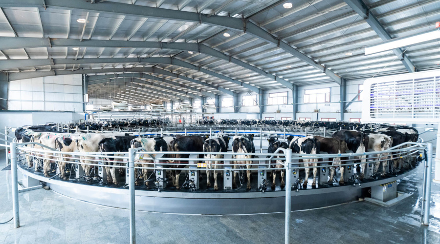 DeLaval lança sistema de ordenha rotatória de última geração