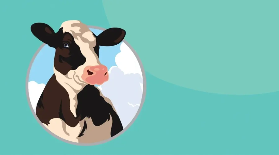 O bem-estar animal na agenda global da sustentabilidade do leite