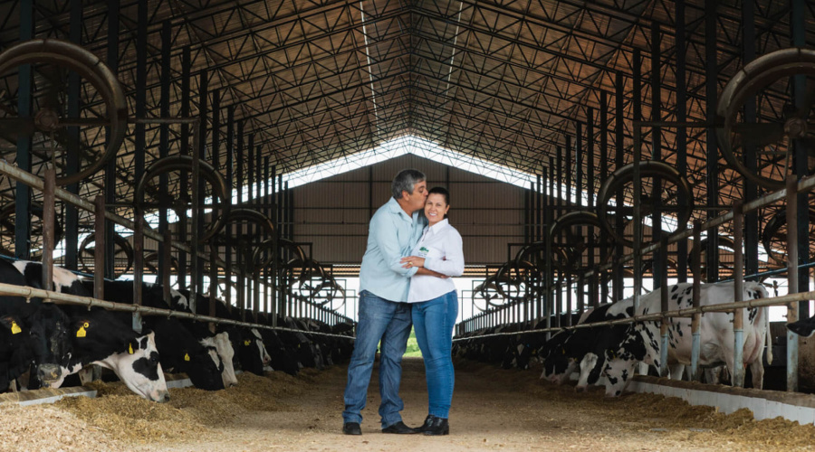FAZENDA VR: VALORES E RAÍZES