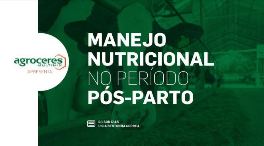 Manejo nutricional no período pós-parto