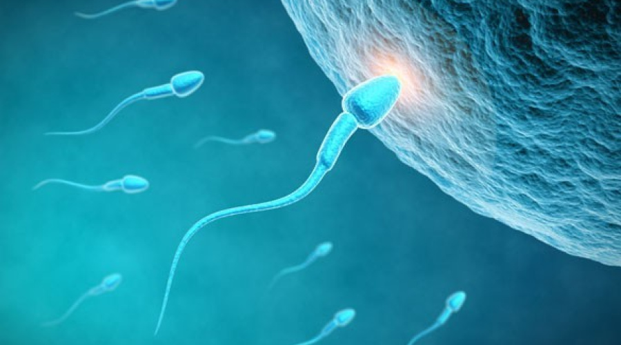 Critérios para escolha de biotecnias reprodutivas - Parte I