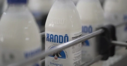 Leites refrigerados se consolidam como motor de frequência no varejo paulista, mostra estudo da Xandô com a Rock Encantech