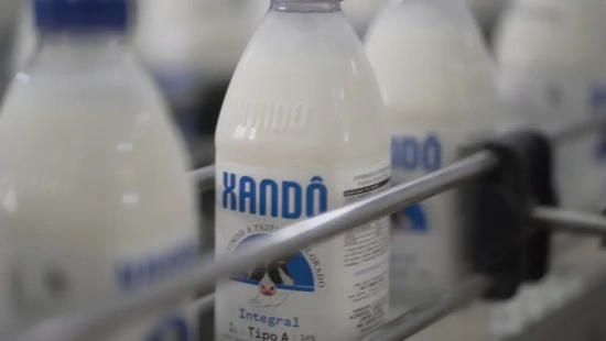 Leites refrigerados se consolidam como motor de frequência no varejo paulista, mostra estudo da Xandô com a Rock Encantech