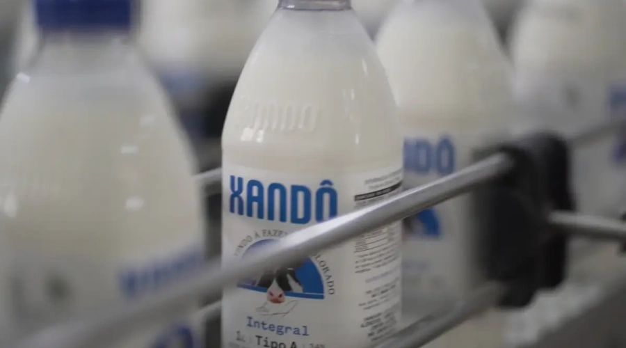Leites refrigerados se consolidam como motor de frequência no varejo paulista, mostra estudo da Xandô com a Rock Encantech