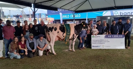 Raça Holandesa mostra evolução genética e consagra criadores na Expointer