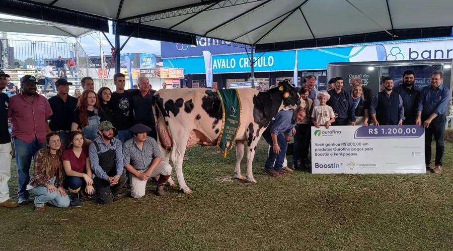 Raça Holandesa mostra evolução genética e consagra criadores na Expointer