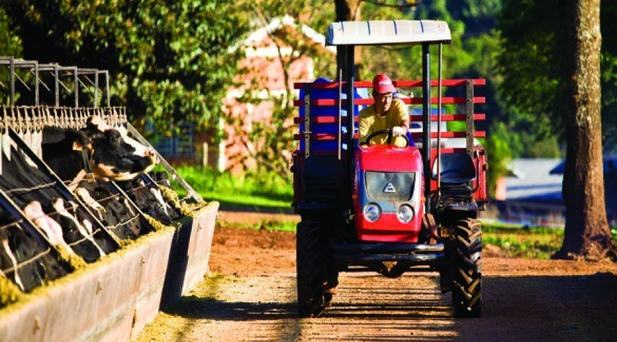 Fazenda Santo Isidoro - Coxilha/RS