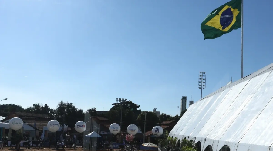 21ª Megaleite encerra com vários recordes
