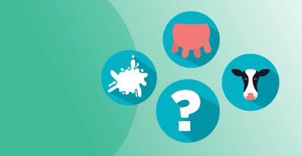 FAQ MAIS LEITE: CCS E CPP