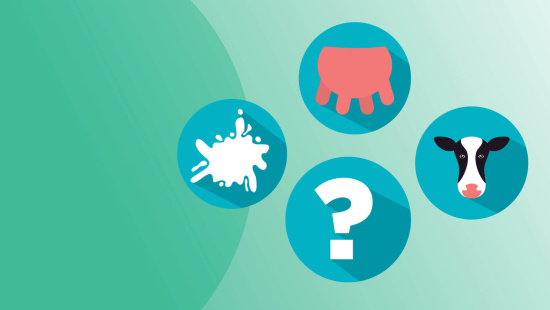 FAQ MAIS LEITE: CCS E CPP