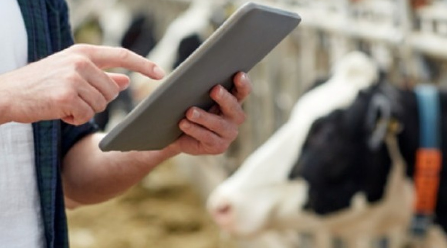 Proposta iguala produtor rural a empresário para falência ou recuperação