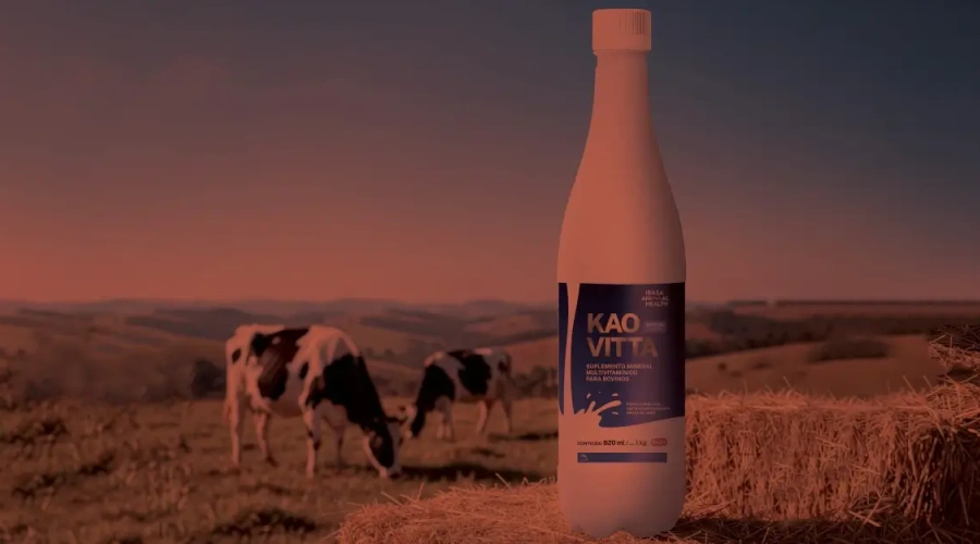 Ibasa apresenta: Kaovitta é suporte inteligente para vacas em momentos de maior desafio