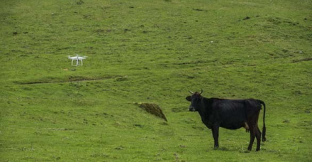 Ferramentas para manejo intensivo de pastagem