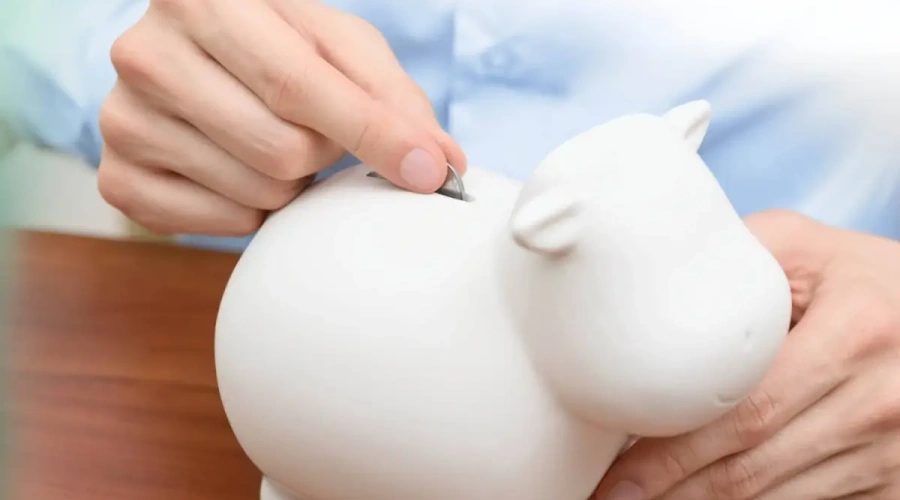 Gestão do rebanho: 4 dicas para aumentar o lucro na pecuária do leite