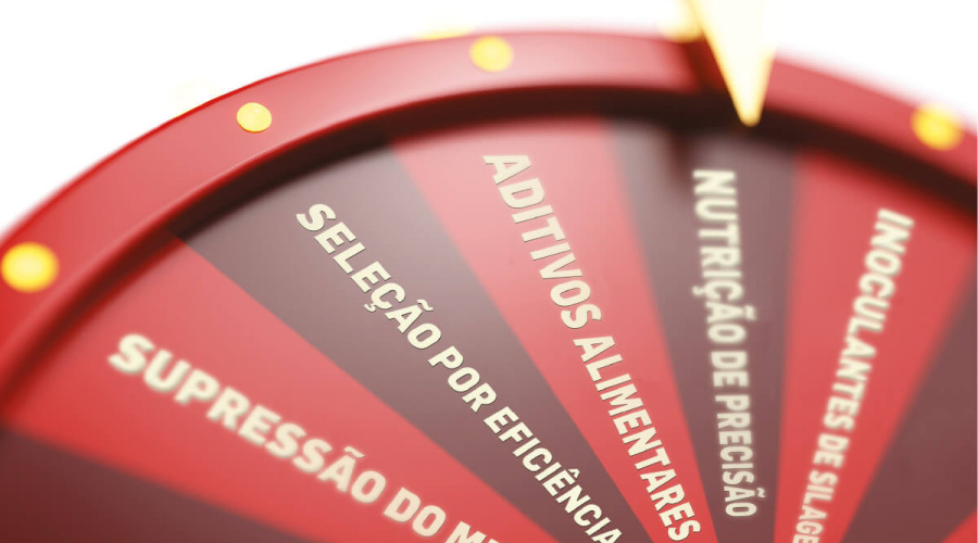 Vacas mais eficientes produzem menos metano entérico