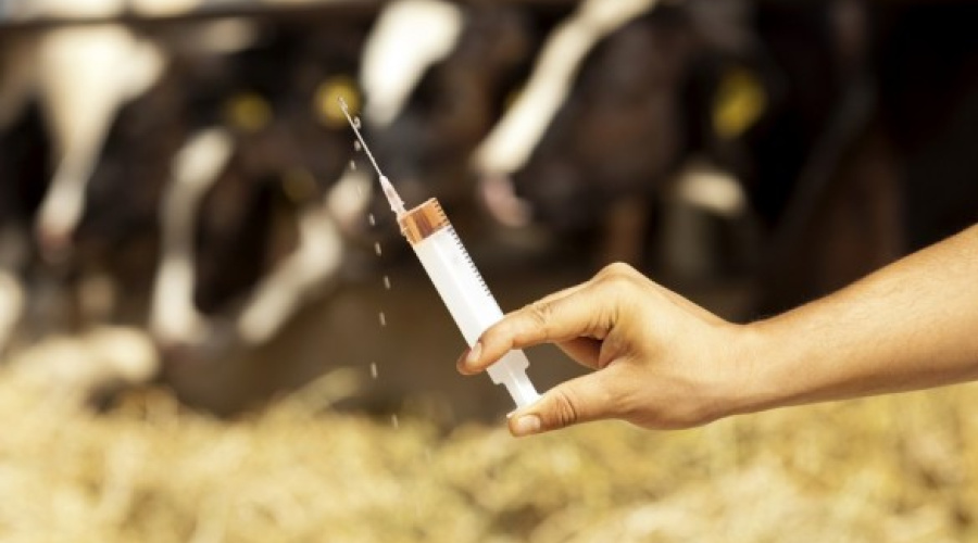 Sistema eletrônico de produtos veterinários traz segurança ao mercado
