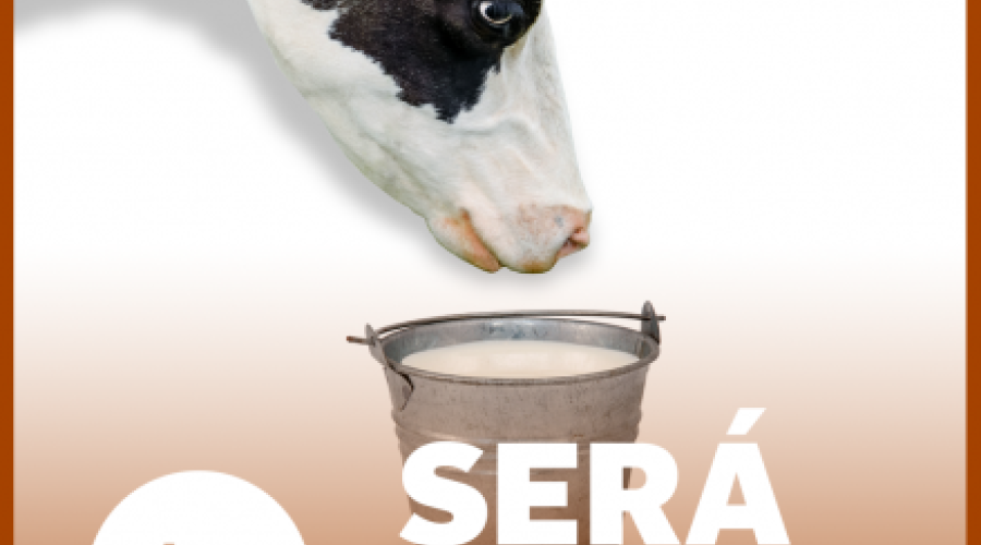 Será que é?
