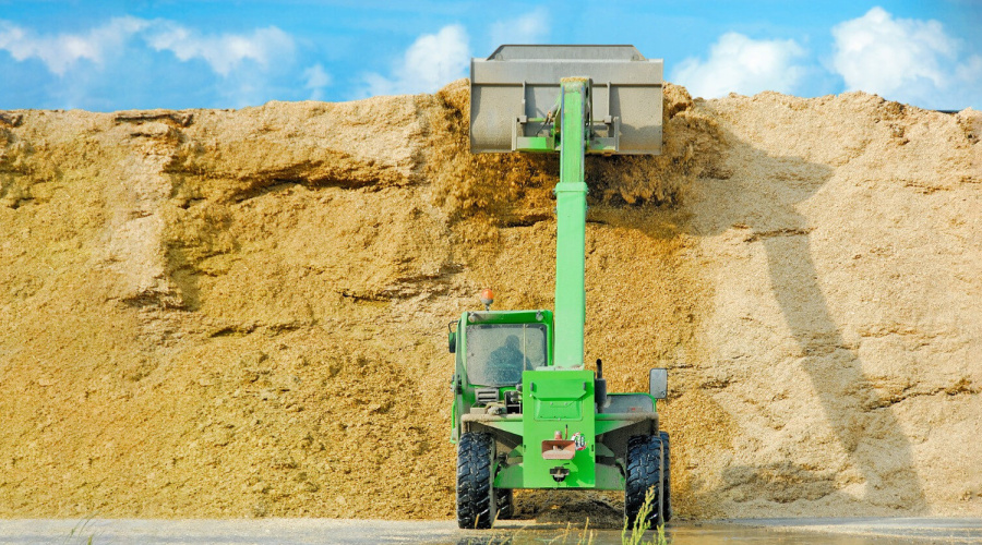 Por que utilizar silagem de milho na alimentação de vacas leiteiras?
