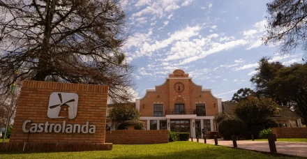 Castrolanda 75 anos: resultado líquido recorde e o maior pacote de investimentos da sua história