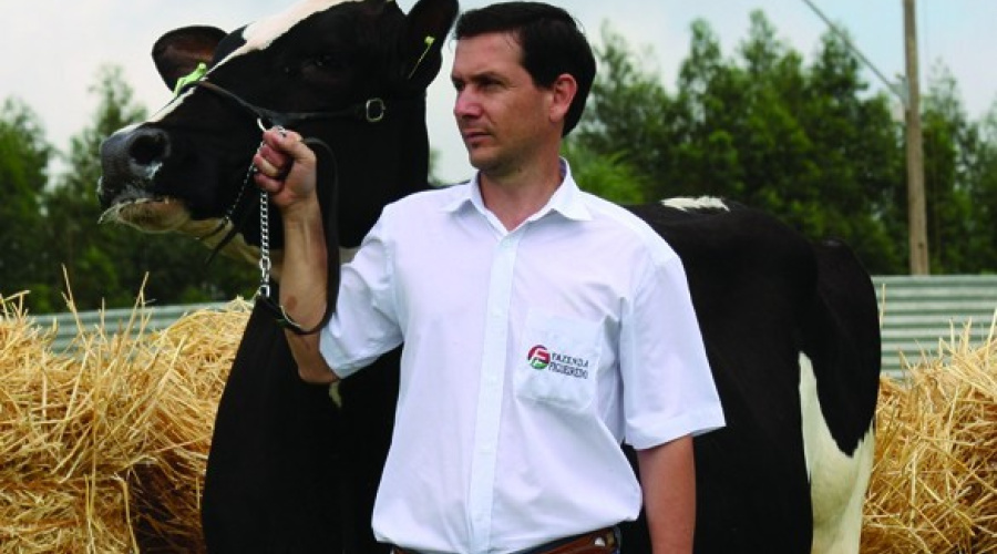 Fazenda Figueiredo - Cristalina/GO