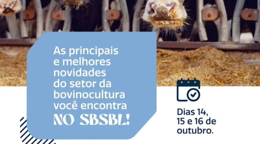 Inteligência Artificial abre discussões do SBSBL com palestra de Alexandre Weimer