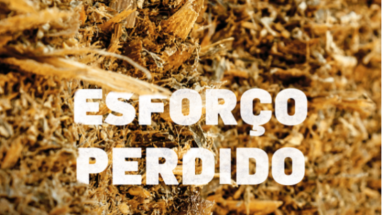 Esforço perdido