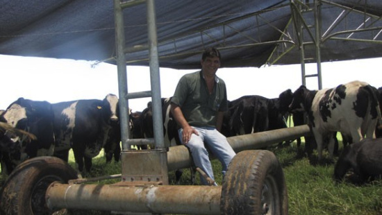 Fazenda  São Caetano - Morrinhos/GO