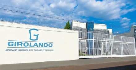 Conheça a Associação Brasileira dos Criadores de Girolando