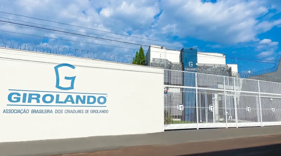 Conheça a Associação Brasileira dos Criadores de Girolando