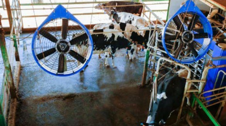 DeLaval cow cooling – resfriamento automático de vacas