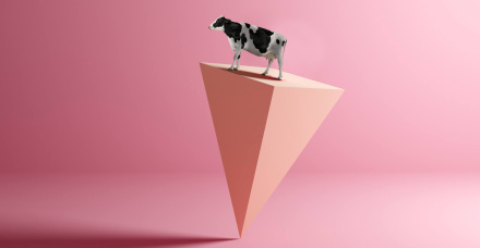 EQUILÍBRIO É O CAMINHO