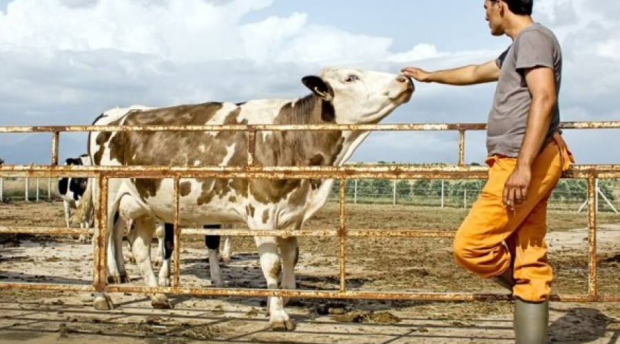 Crescem empregos no agronegócio com maior qualificação, diz Cepea