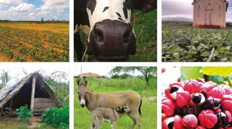As mais belas fotos do Censo Agro 2017: veja a galeria e vote na sua favorita!