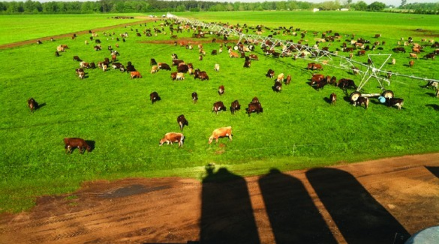 Fazenda Riacho dos Porcos e Pedras