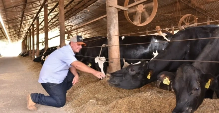 FAZENDA SÃO SEBASTIÃO DA VARGEM/Marcelo Siqueira/São Gonçalo do Sapucaí/MG