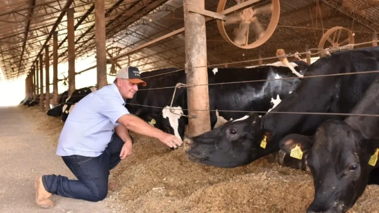 FAZENDA SÃO SEBASTIÃO DA VARGEM/Marcelo Siqueira/São Gonçalo do Sapucaí/MG