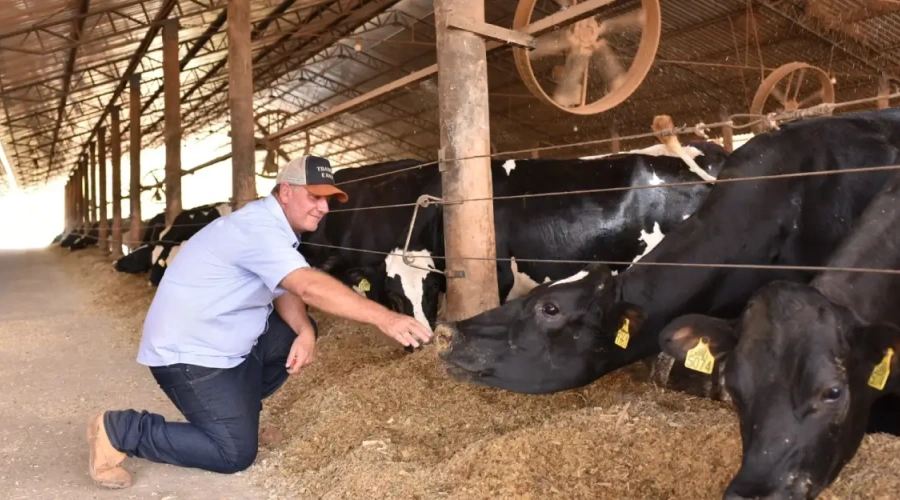 FAZENDA SÃO SEBASTIÃO DA VARGEM/Marcelo Siqueira/São Gonçalo do Sapucaí/MG