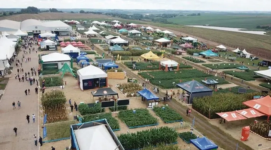 Expoagro Cotricampo pauta desempenho de  vacas leiteiras