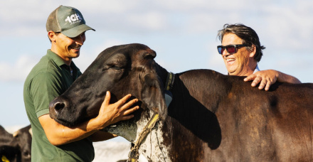 ICH AGROPASTORIL: VISÃO ALÉM DO FUTURO