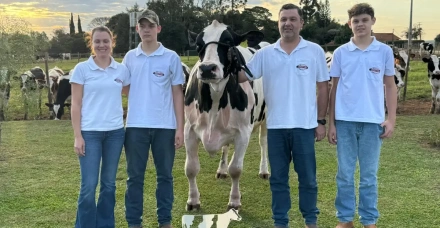 Vacas paranaenses alcançam quase 200 mil quilos de leite  e ganham destaque internacional