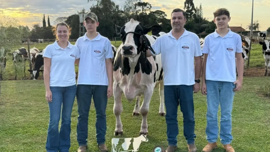 Vacas paranaenses alcançam quase 200 mil quilos de leite  e ganham destaque internacional
