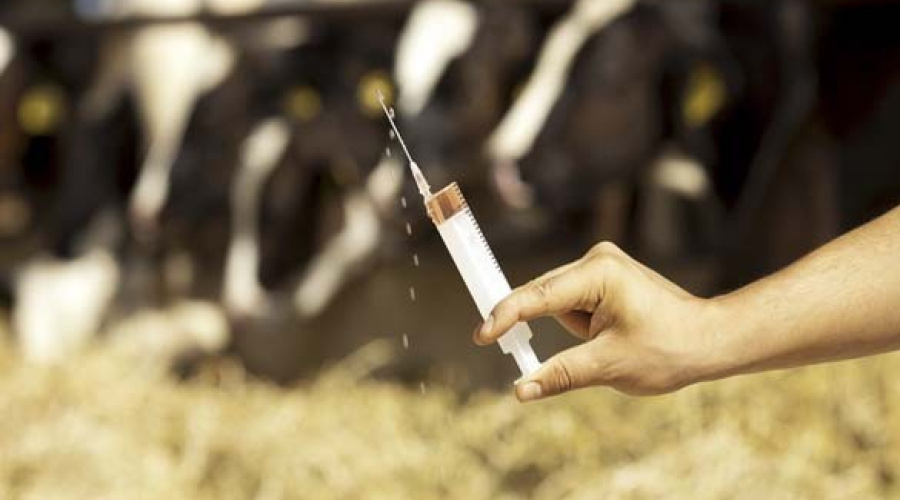Protocolos hormonais: quando e como utilizá-los?