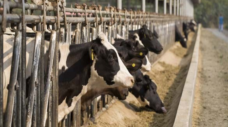 Tecnologias avançadas para o manejo de precisão