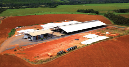 AGRO GUIA: ONDE MORA A BELEZA