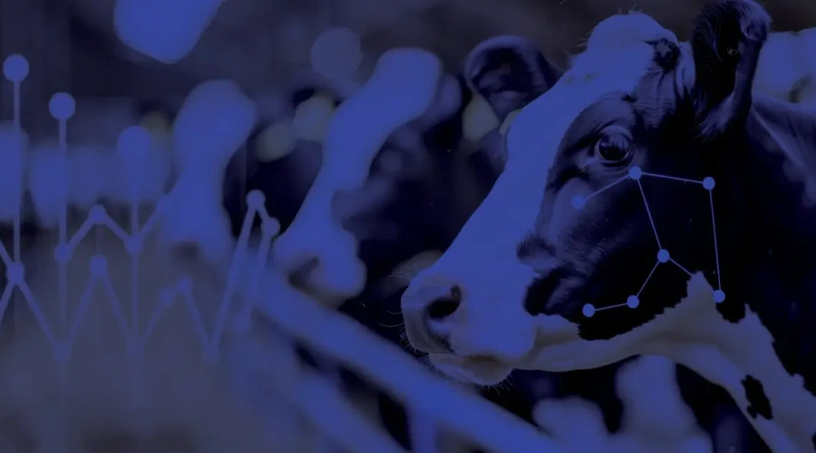 DSM responde: o que a inteligência artificial (IA) já entrega ao produtor?