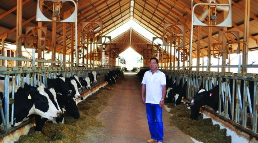 Sekita Agronegócios: A visão integrada de um sistema de produção de leite