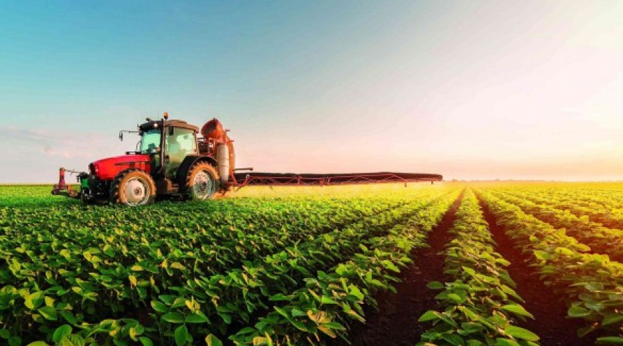 PIB agropecuário cresce em junho, mas deve encerrar 2018 com queda de 1%