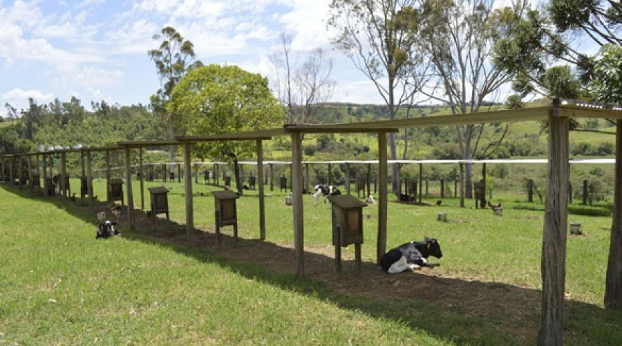 Fazenda Roda D’Água - Formiga/MG