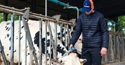 Taxa de prenhez chega a 32% em fazenda leiteira após adoção de monitoramento inteligente